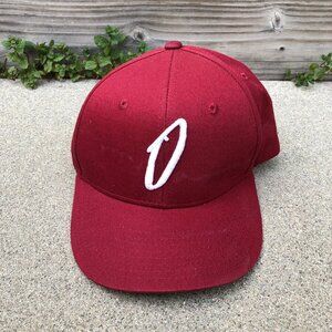 Resid3ncy The Bricktown Snapback Hat Men's Red Adjustable Cap